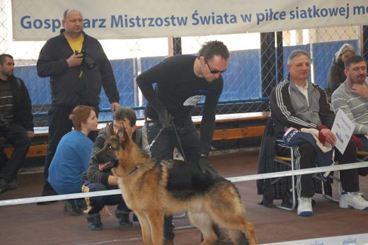 Katowice — 2013 — zdjęcie 3