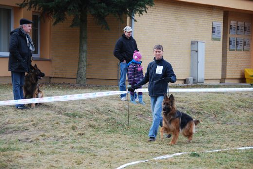 Drzonków — 2013 — zdjęcie 4