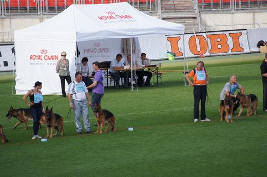 Wystawa światowa ON 2011 — zdjęcie 156
