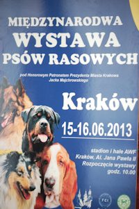 Katowice — 2013 — zdjęcie 2