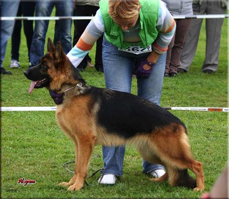 Krasnystaw — 2012 — zdjęcie 100