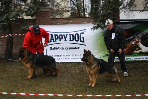 Jarosław — 2013 — zdjęcie 13