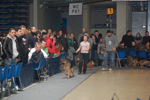 Rzeszów — 2013 — zdjęcie 25