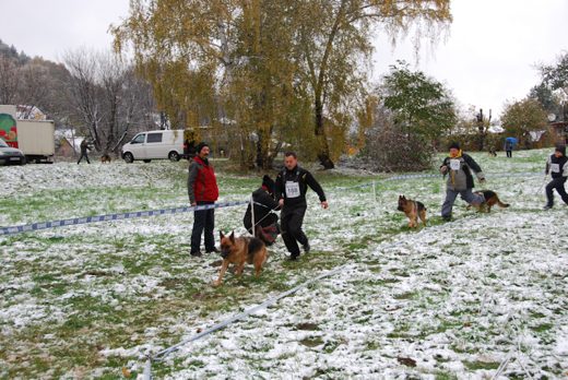 Czchów – Zapora — 2012 — zdjęcie 44