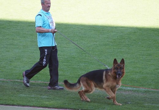 Wystawa światowa ON 2011 — zdjęcie 115