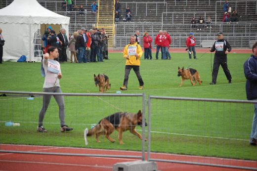 Wystawa światowa ON 2012 — zdjęcie 78