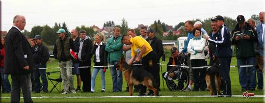 Krasnystaw — 2012 — zdjęcie 92