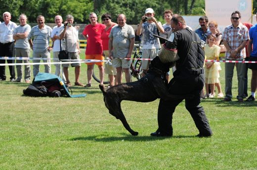 Grajewo — 2012 — zdjęcie 17