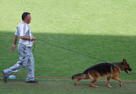 Wystawa światowa ON 2011 — zdjęcie 100