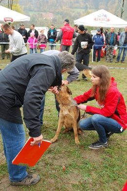 Czchów – Zapora — 2012 — zdjęcie 85