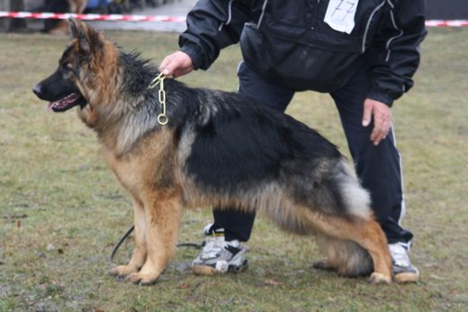 Jarosław — 2013 — zdjęcie 17