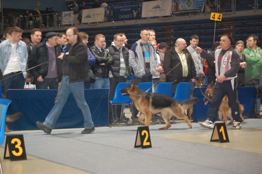 Rzeszów — 2013 — zdjęcie 69