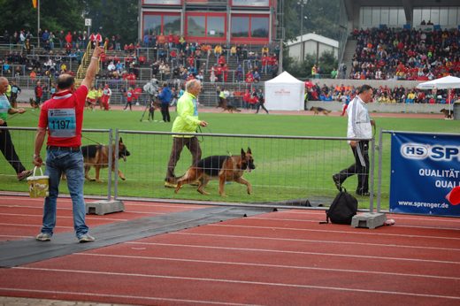 Wystawa światowa ON 2012 — zdjęcie 53