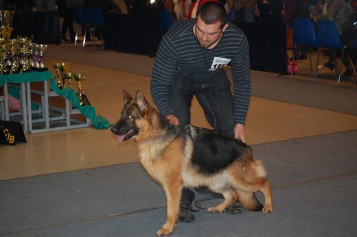 Rzeszów — 2013 — zdjęcie 42