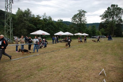 Czchów – Zapora — 2012 — zdjęcie 25
