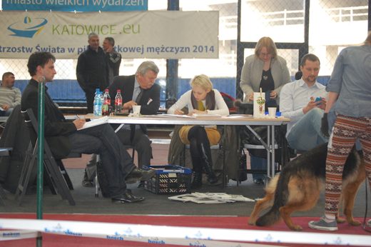 Katowice — 2013 — zdjęcie 17