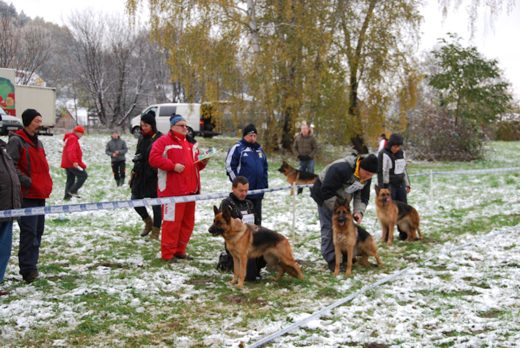 Czchów – Zapora — 2012 — zdjęcie 41