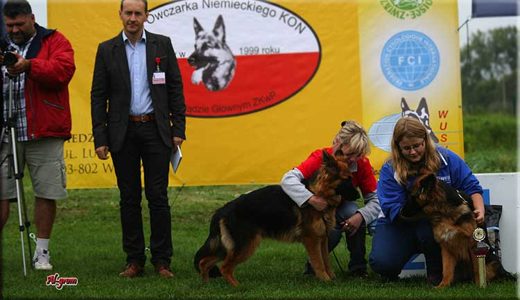 Krasnystaw — 2012 — zdjęcie 128