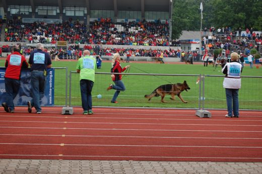 Wystawa światowa ON 2012 — zdjęcie 44