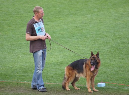 Wystawa światowa ON 2011 — zdjęcie 27