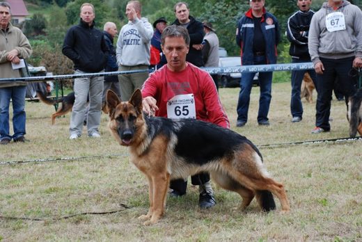 Czchów – Zapora — 2012 — zdjęcie 37