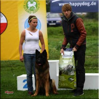 Krasnystaw — 2012 — zdjęcie 121