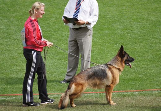 Wystawa światowa ON 2011 — zdjęcie 251