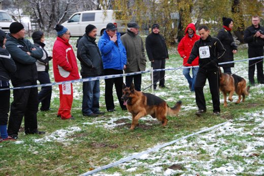 Czchów – Zapora — 2012 — zdjęcie 14