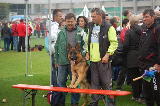 Wystawa światowa ON 2012 — zdjęcie 86