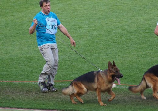 Wystawa światowa ON 2011 — zdjęcie 22