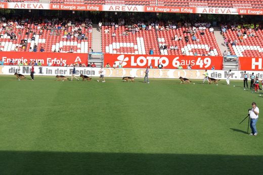 Wystawa światowa ON 2011 — zdjęcie 145