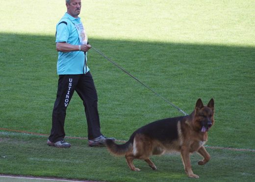 Wystawa światowa ON 2011 — zdjęcie 114