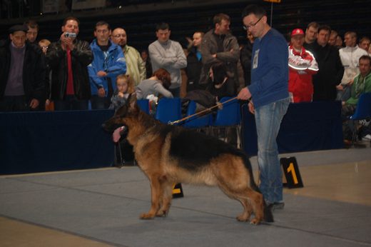 Rzeszów — 2013 — zdjęcie 55