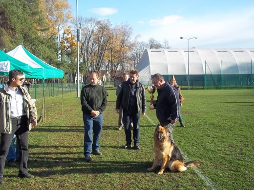 Mistrzostwa IPO ON 2012 — zdjęcie 32