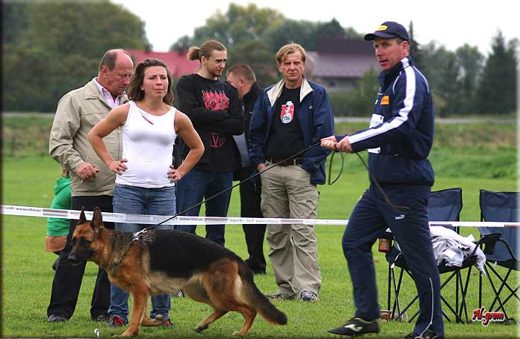 Krasnystaw — 2012 — zdjęcie 78