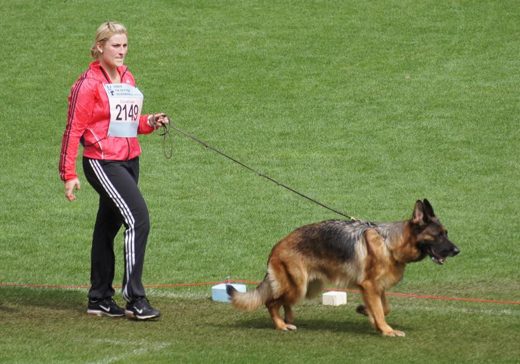 Wystawa światowa ON 2011 — zdjęcie 252