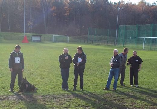 Mistrzostwa IPO ON 2012 — zdjęcie 68