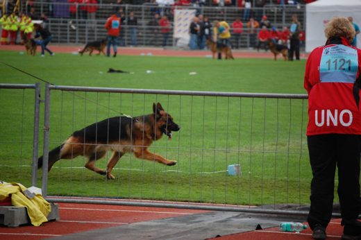 Wystawa światowa ON 2012 — zdjęcie 36