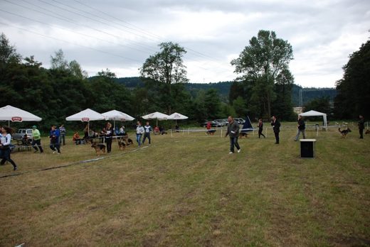 Czchów – Zapora — 2012 — zdjęcie 27