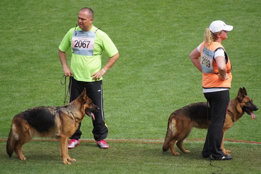 Wystawa światowa ON 2011 — zdjęcie 260