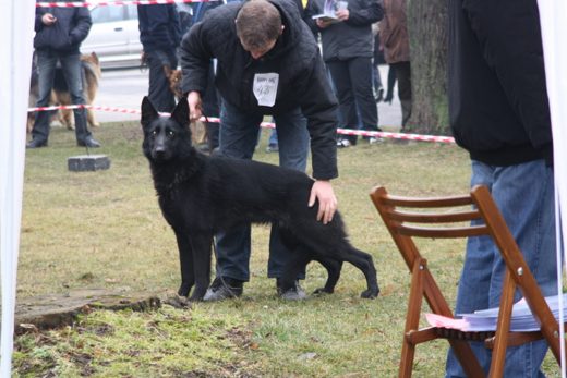 Jarosław — 2013 — zdjęcie 64