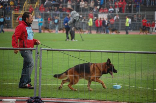 Wystawa światowa ON 2012 — zdjęcie 60