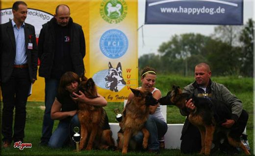 Krasnystaw — 2012 — zdjęcie 130