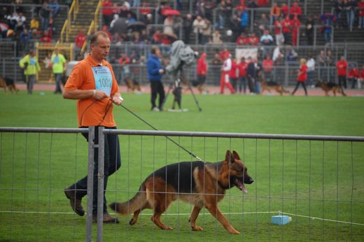 Wystawa światowa ON 2012 — zdjęcie 55