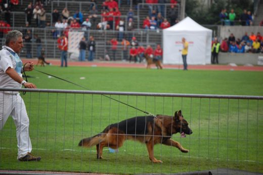 Wystawa światowa ON 2012 — zdjęcie 37