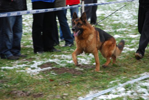 Czchów – Zapora — 2012 — zdjęcie 12