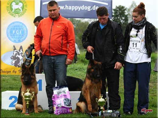 Krasnystaw — 2012 — zdjęcie 124