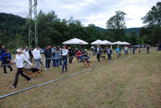 Czchów – Zapora — 2012 — zdjęcie 22