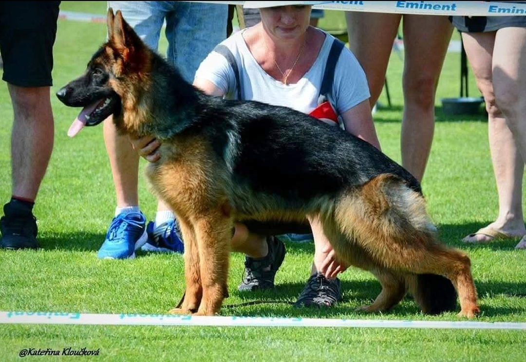 RITA z Kanetowca