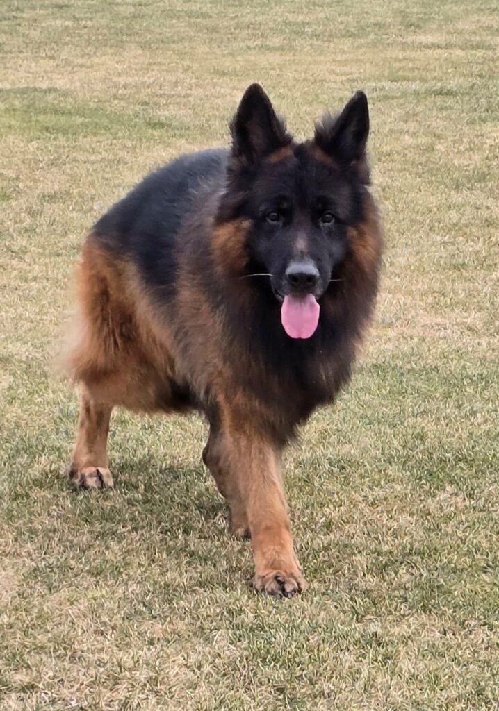 BORDEAUX vom Pendler